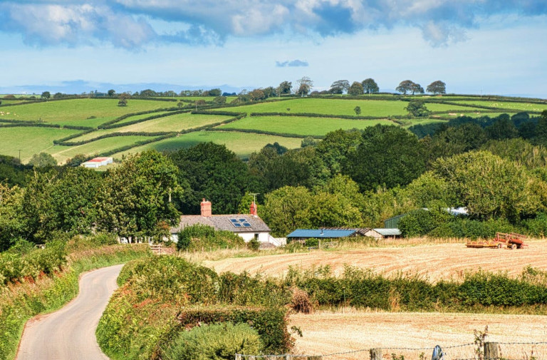 Devon Farm