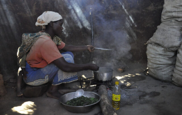 African smallholder