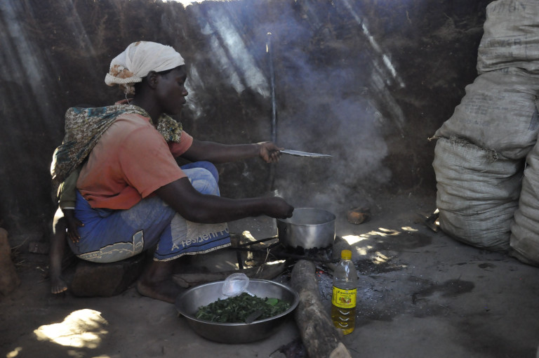 African smallholder
