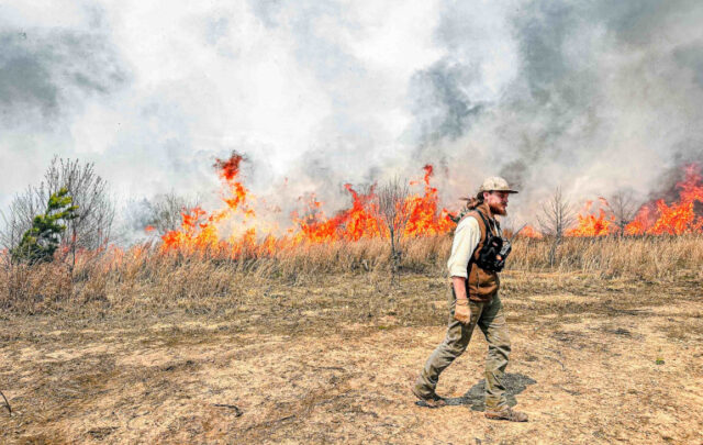controlled burn