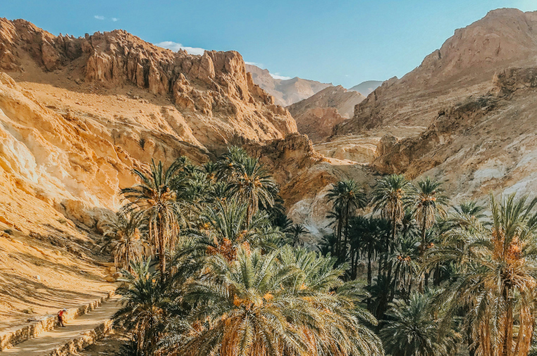 oasis