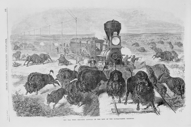 The far west - shooting buffalo on the line of the Kansas-Pacific Railroad, illustration from from Frank Leslie's illustrated newspaper (1871 June 3)