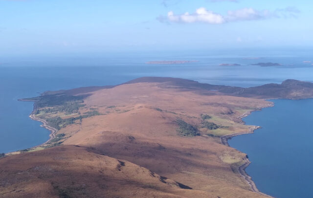 Highland wood and moor