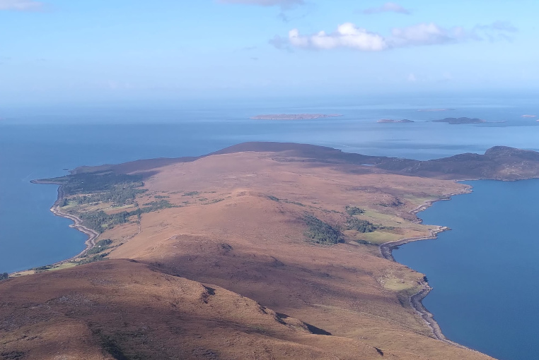 Highland wood and moor