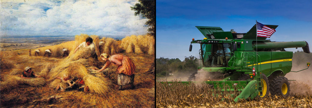 harvesting