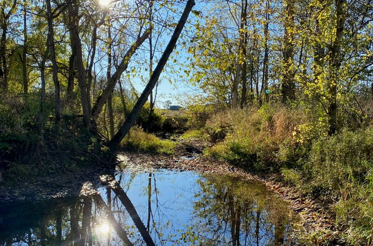 Jacoby Creek