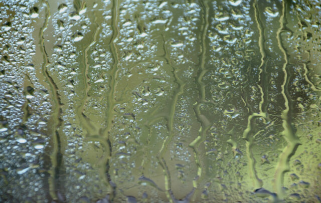 rivulets