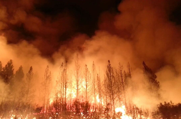 Rim Fire