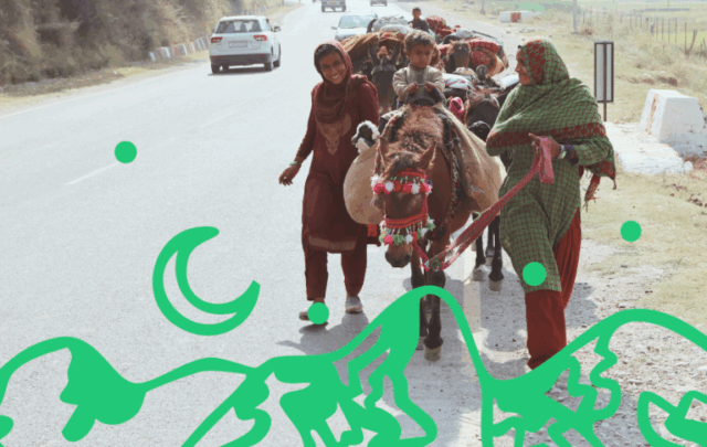 Kashmiri nomads