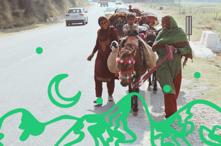 Kashmiri nomads