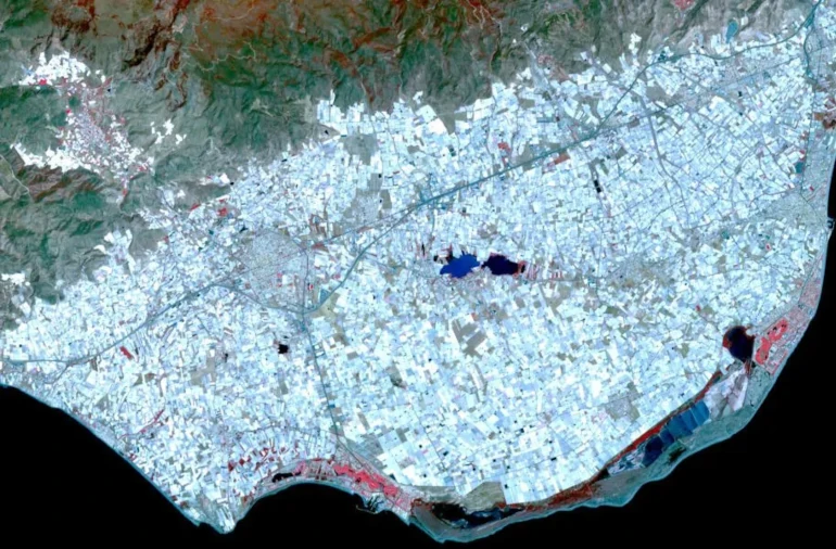 Plastic greenhouses in Spain