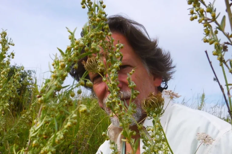 Mark with flowering wormwoods