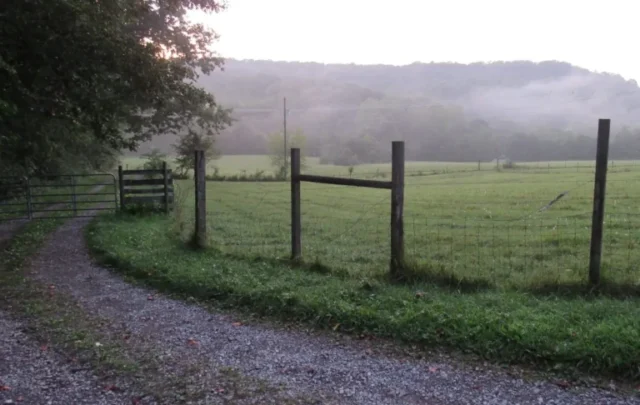 Brian Miller's farm